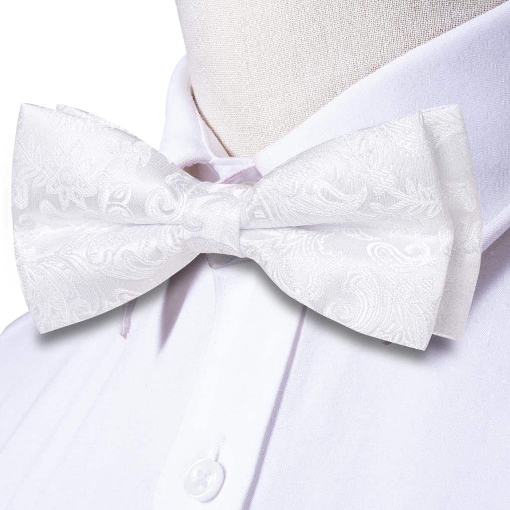 Ensemble nœud papillon pré-nou - Cufflinks Silver Set avis et prix